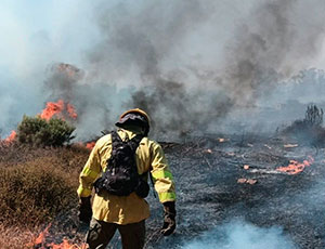 Servicio de Extinción de Incendios Forestales. Plan INFOCA Huelva